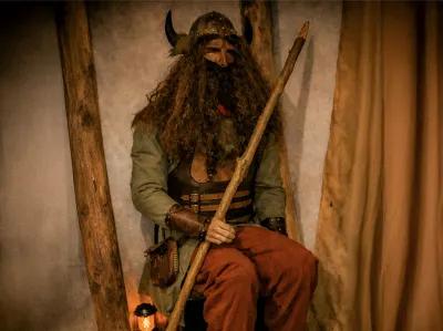 Viking poster3