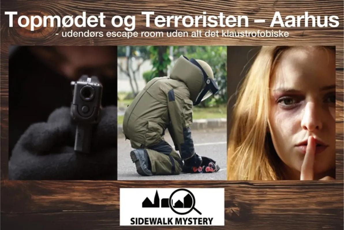 The Summit and the Terrorist - Aarhus